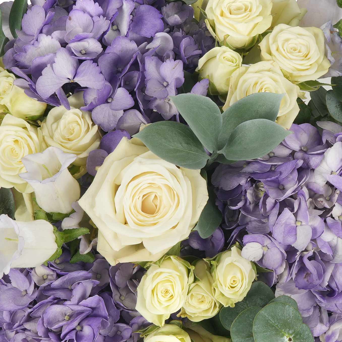 Lavender Love