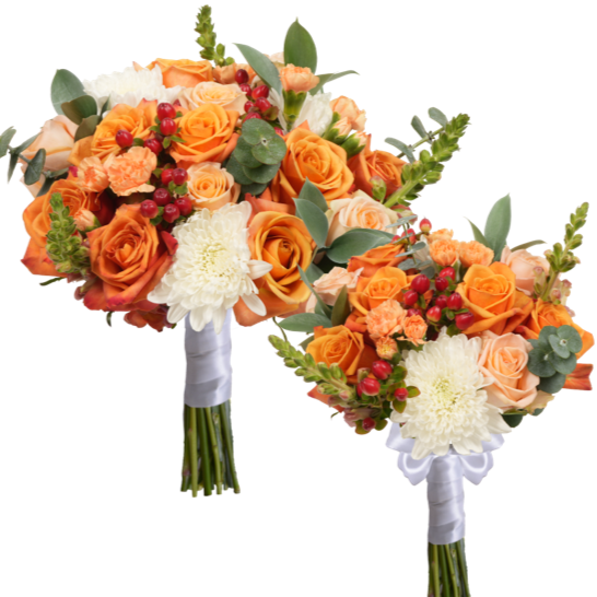 BRIDAL/BRIDESMAID COMBO