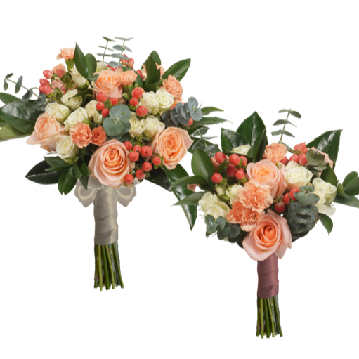 BRIDAL/BRIDESMAID COMBO