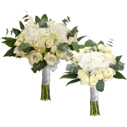 BRIDAL/BRIDESMAID COMBO