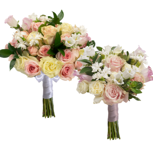 BRIDAL/BRIDESMAID COMBO