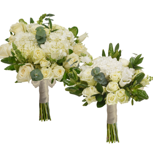 BRIDAL/BRIDESMAID COMBO