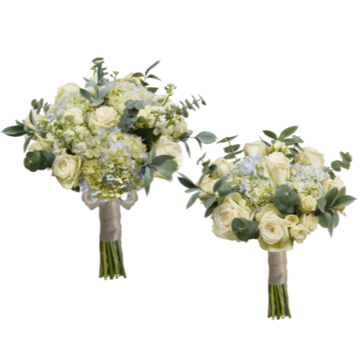 BRIDAL/BRIDESMAID COMBO
