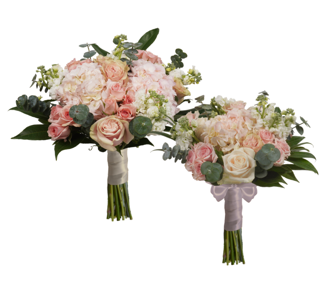 BRIDAL/BRIDESMAID COMBO