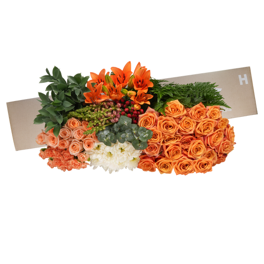 DIY STEMS