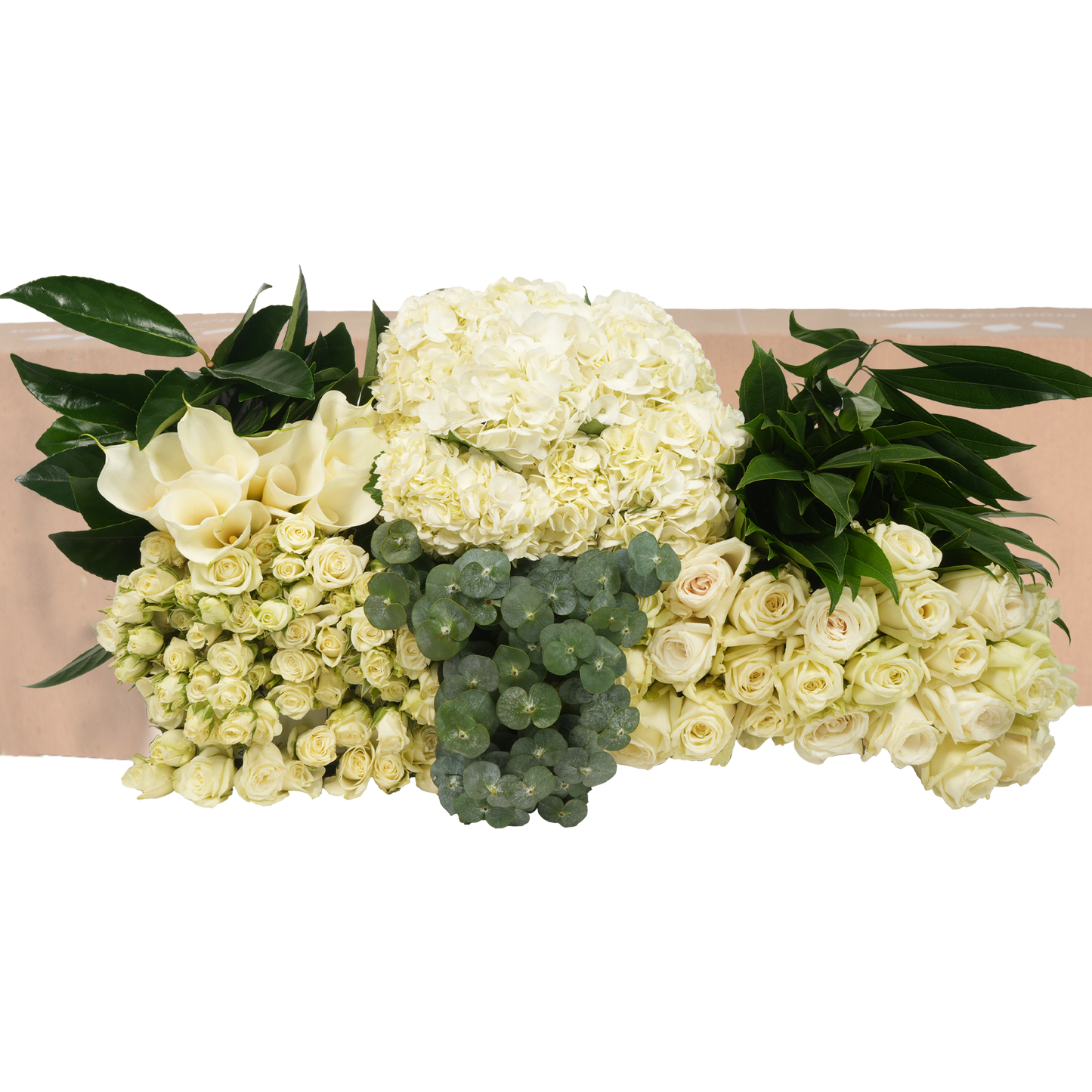 DIY STEMS