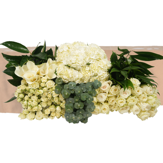 DIY STEMS