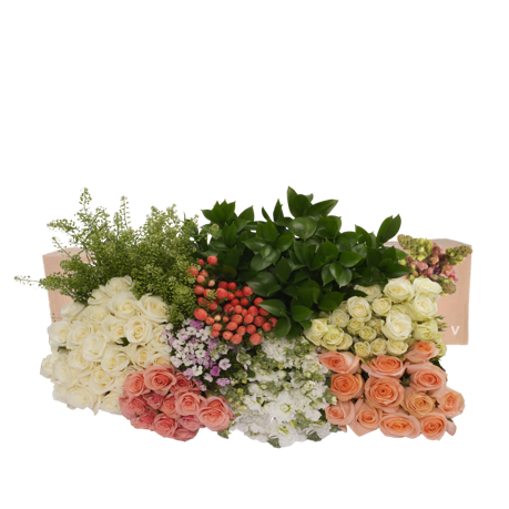DIY STEMS