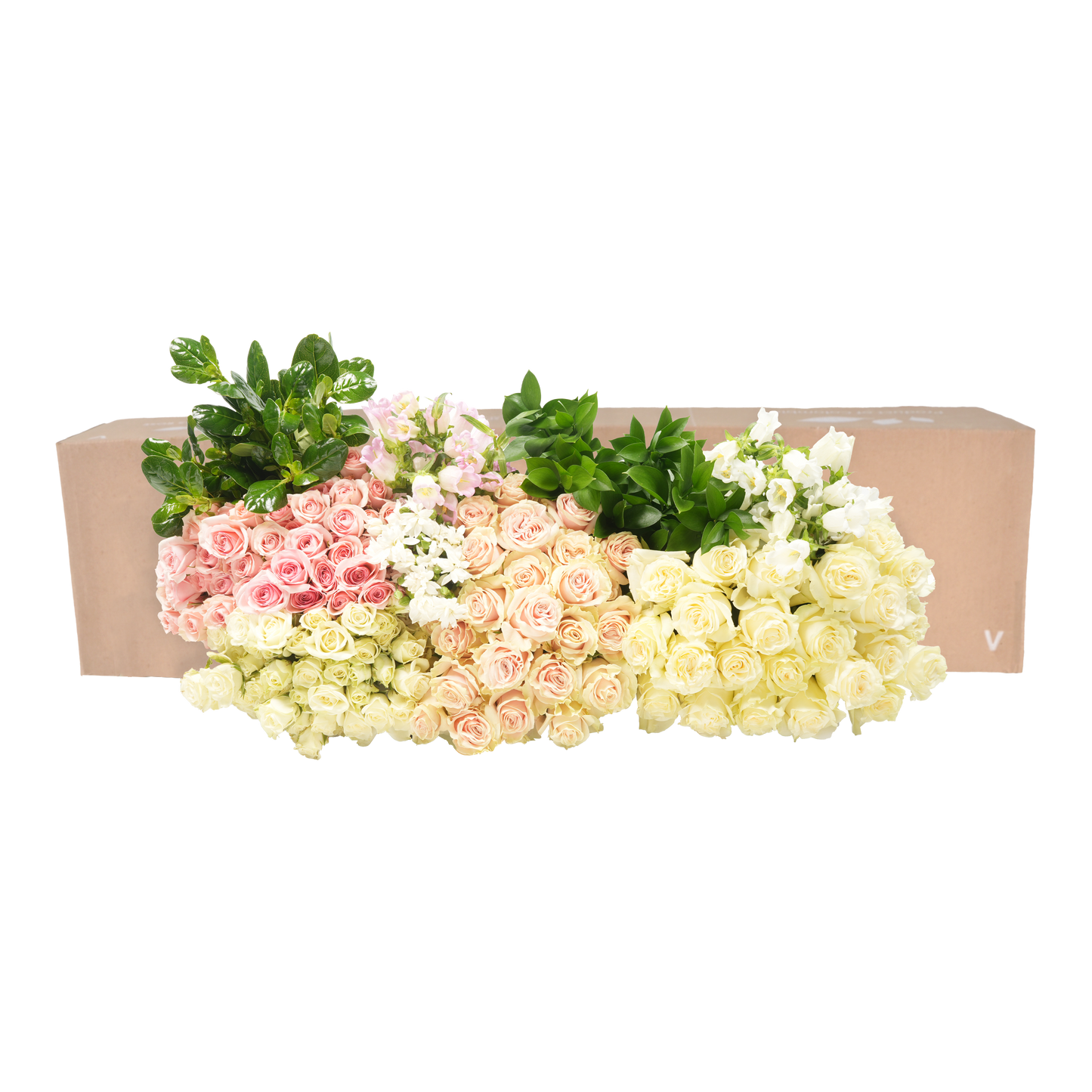 DIY STEMS