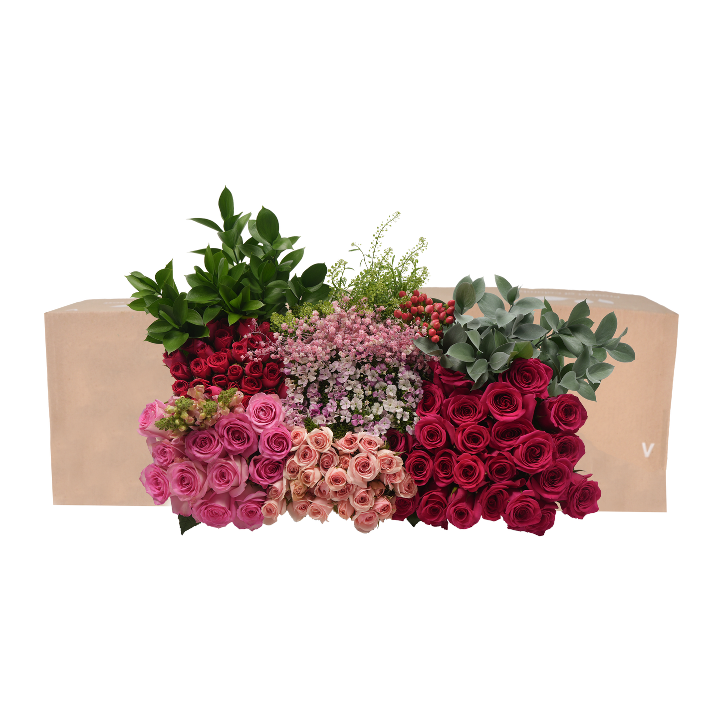 DIY STEMS