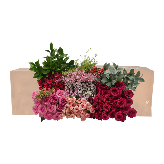 DIY STEMS