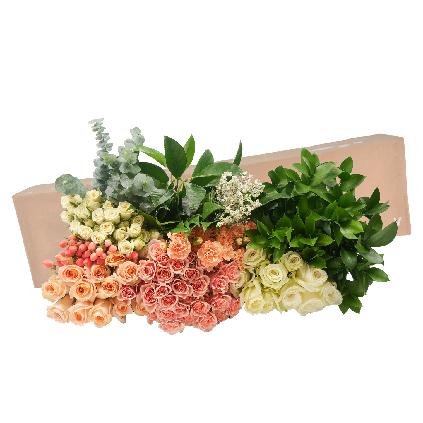 DIY STEMS