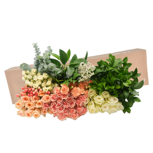 DIY STEMS