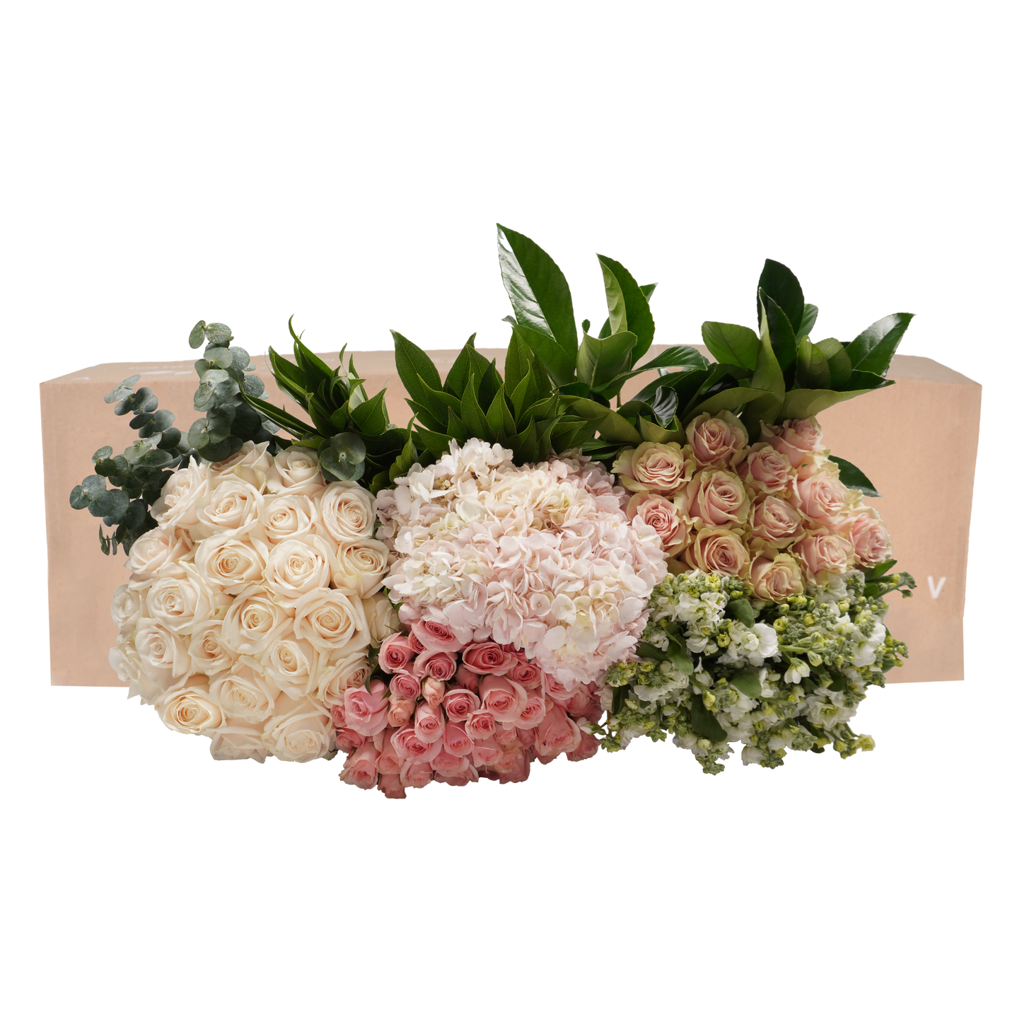 DIY STEMS