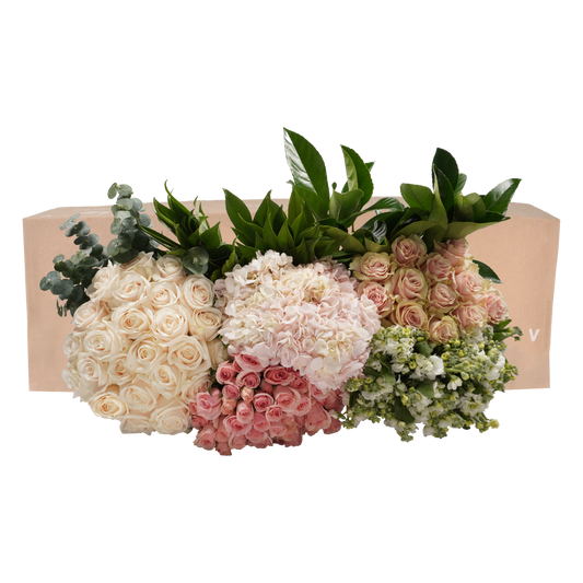 DIY STEMS