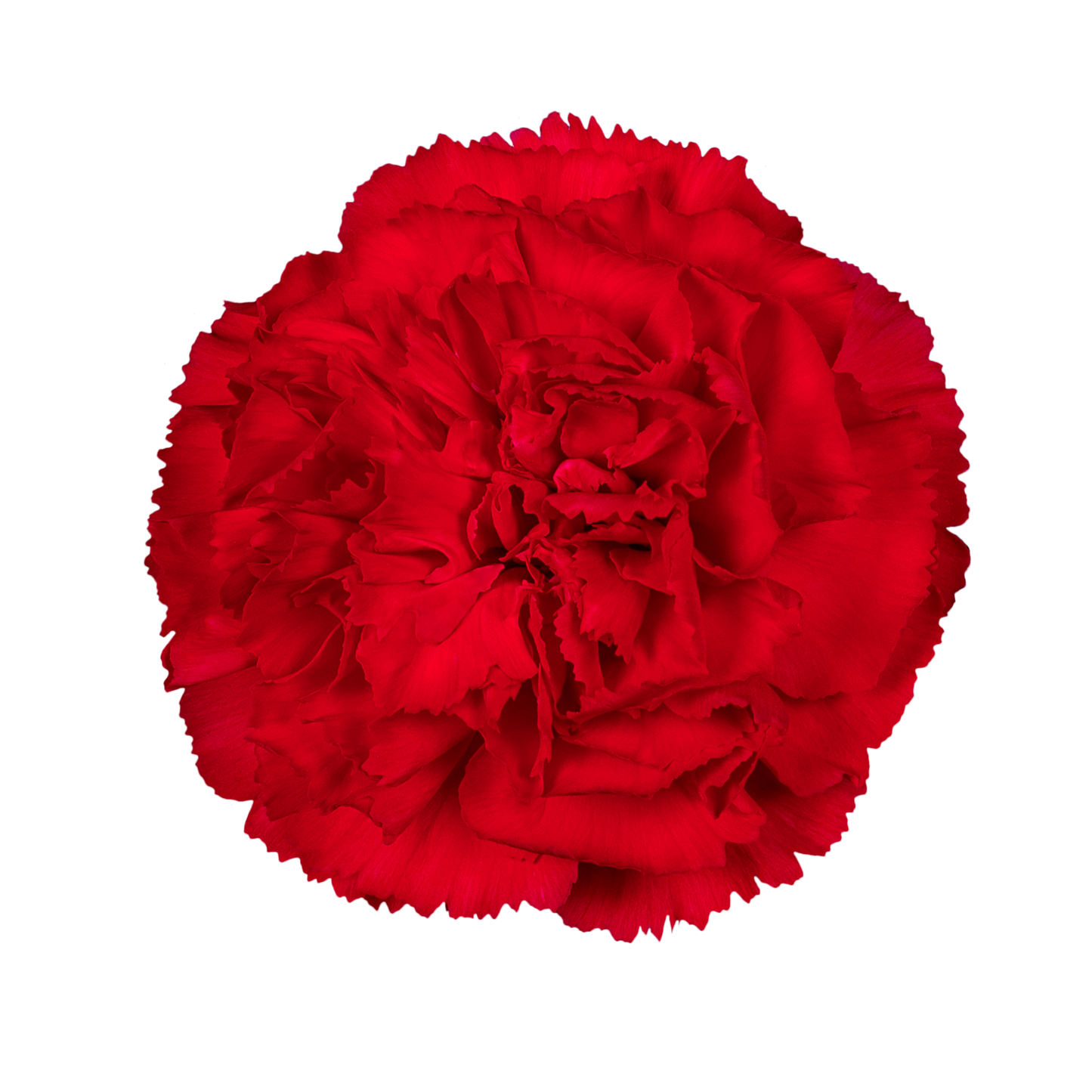 POMODORO