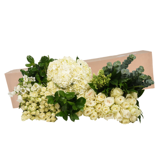 DIY STEMS